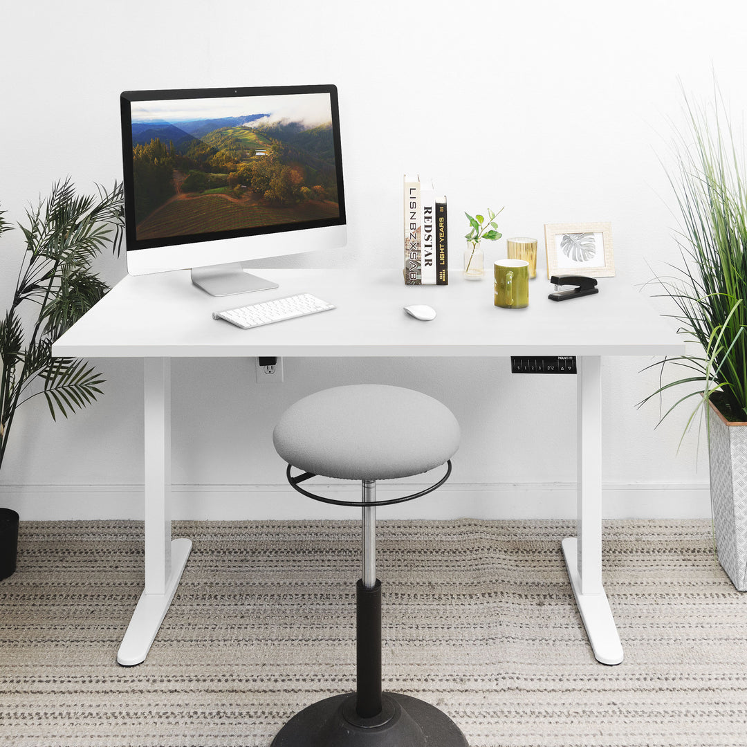 Mount It Dual Motor Electric Standing Desk with 55" Tabletop - White Base